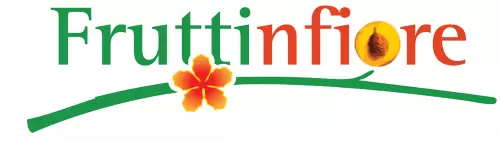 Fruttinfiore